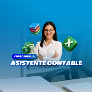 Asistente Contable
