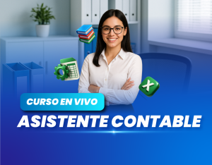 Asistente Contable