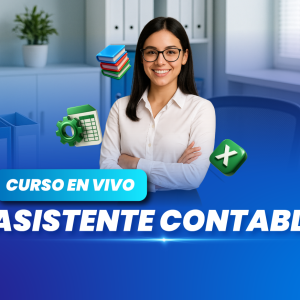 Asistente Contable